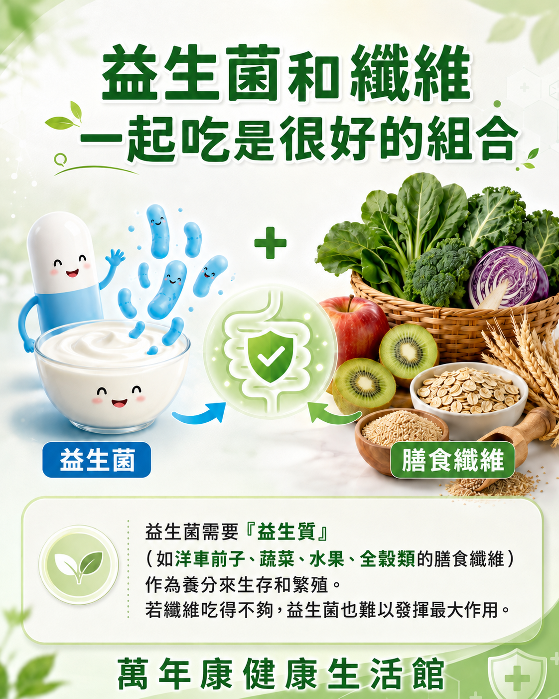 益生菌和纖維一起吃示意圖，說明益生菌與益生質膳食纖維的搭配關係。